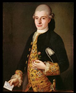 Portret van een heer met een rozenknopsgat